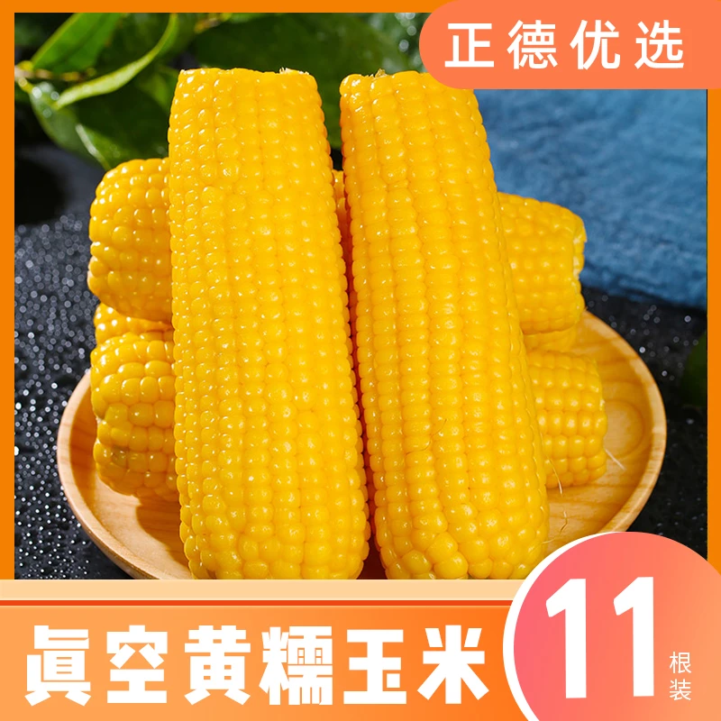 【黄糯玉米】颗粒饱满真空包装甜糯玉米11根180g/根 S