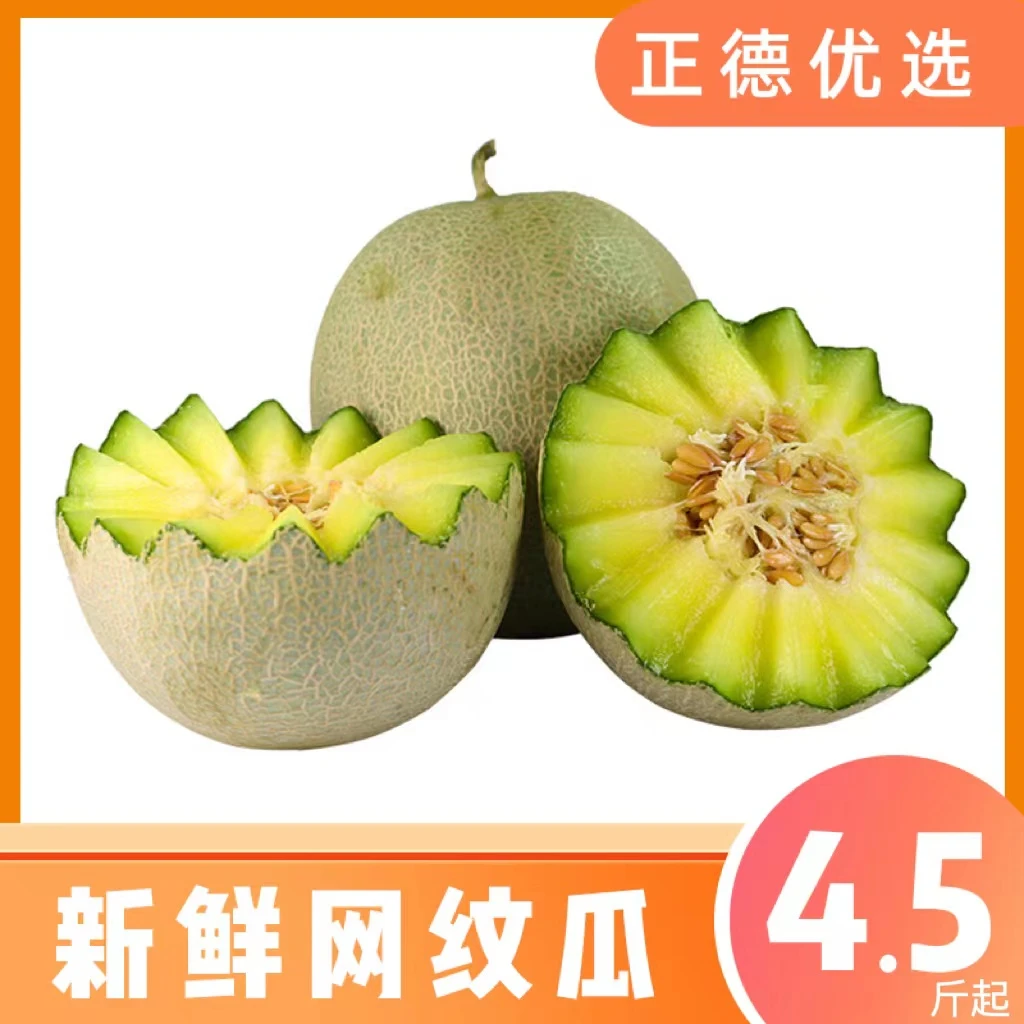 【山东网纹瓜】新鲜水果甜瓜冰淇淋蜜瓜香甜多汁4.5-5斤/8.5-9斤 W