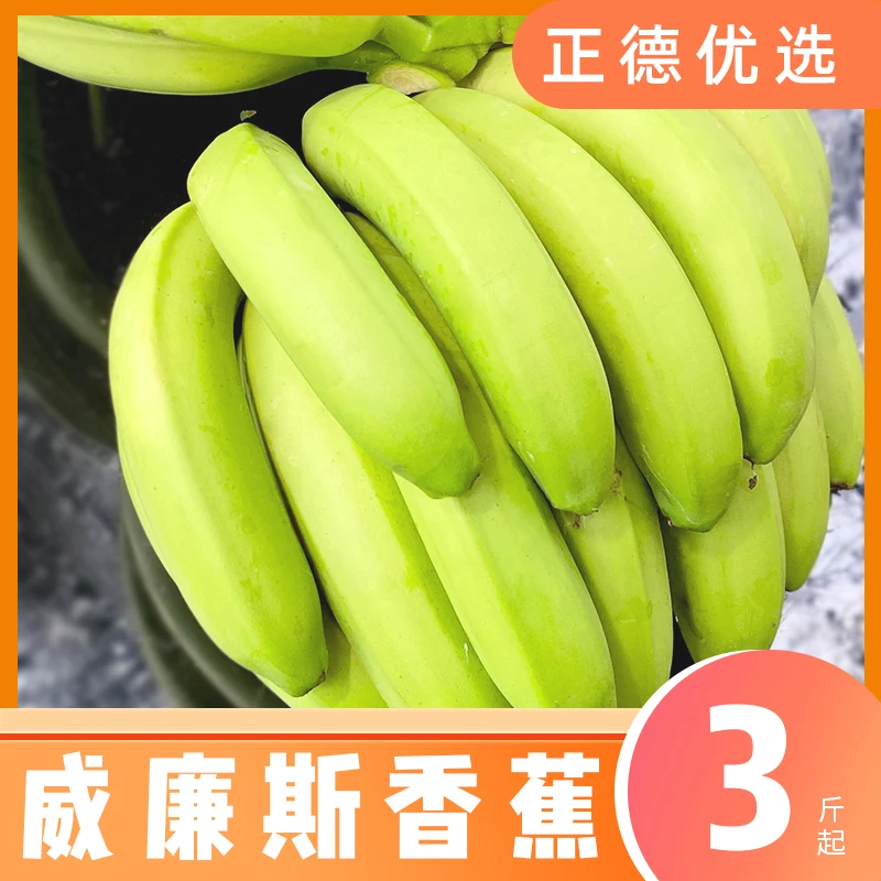 【威廉斯香蕉】云南西双版纳香蕉新鲜当季水果软糯香甜 3/5/9斤 S
