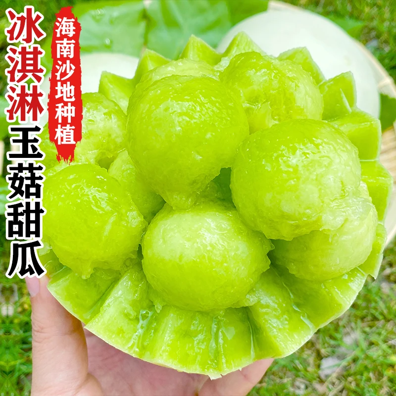 【软糯多汁】山东头茬冰淇淋玉菇甜瓜香甜美味新鲜采摘5/9斤