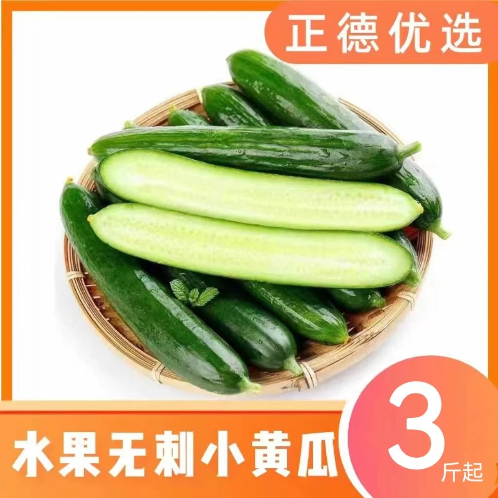 【水果小黄瓜】新鲜无刺黄瓜清香脆爽农家农产品3/4.5斤现摘现发S