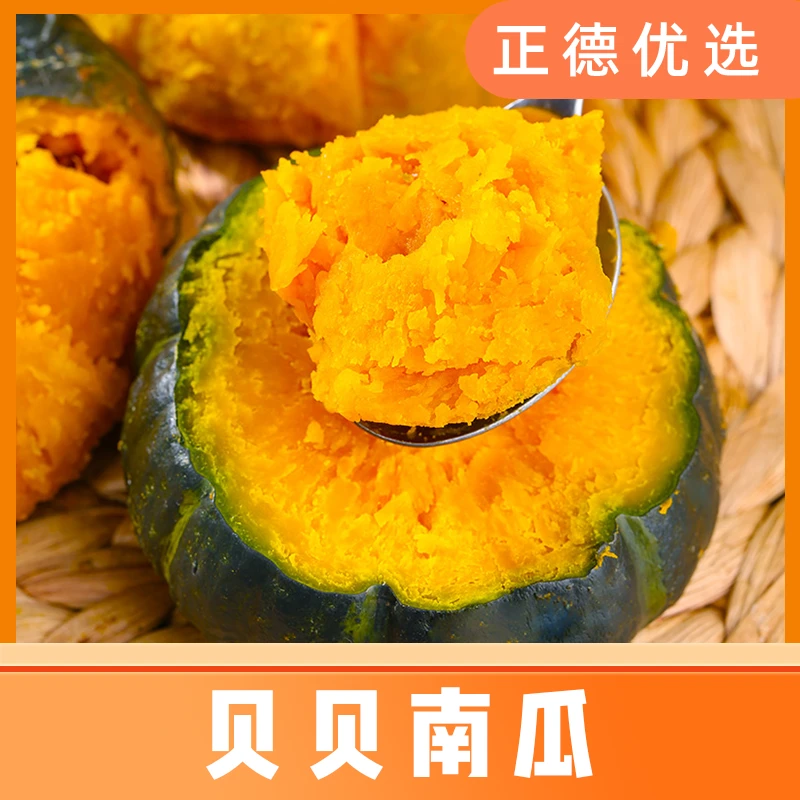 【不粉包赔】贝贝南瓜粉糯细腻香甜宝宝辅食小南瓜4斤S