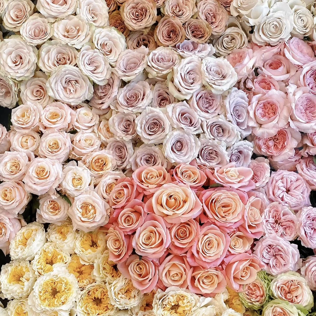 【惊喜盒子】30支随机玫瑰包邮到家 云南昆明斗南鲜花