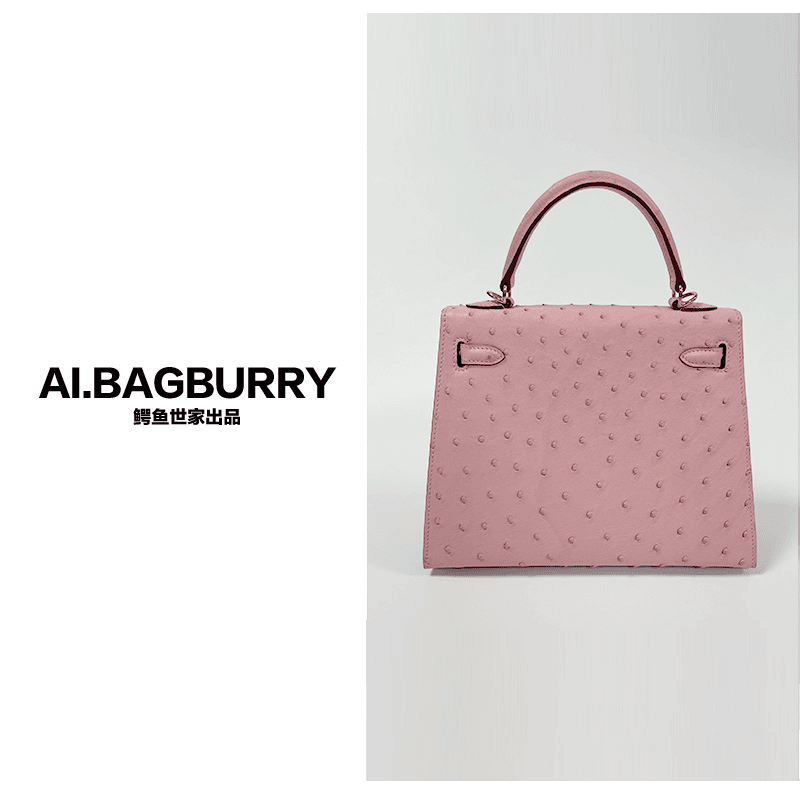 AI.BAGBURRY贵妇包包 时尚百搭网红女士鸵鸟皮斜挎包