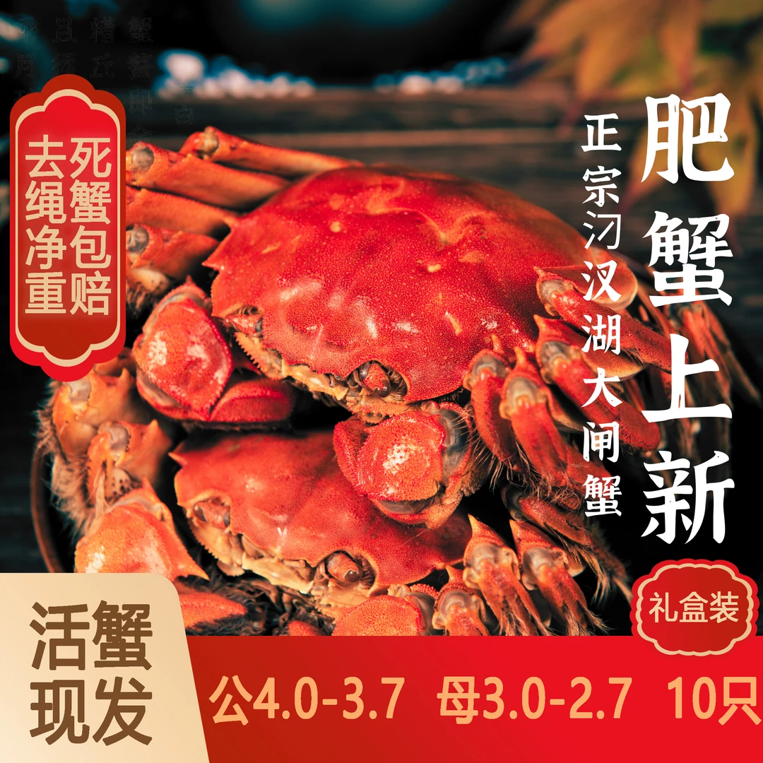 【活蟹】汈汊湖大闸蟹公4.0-3.7两母3.0-2.7两拍8只送2只礼盒装
