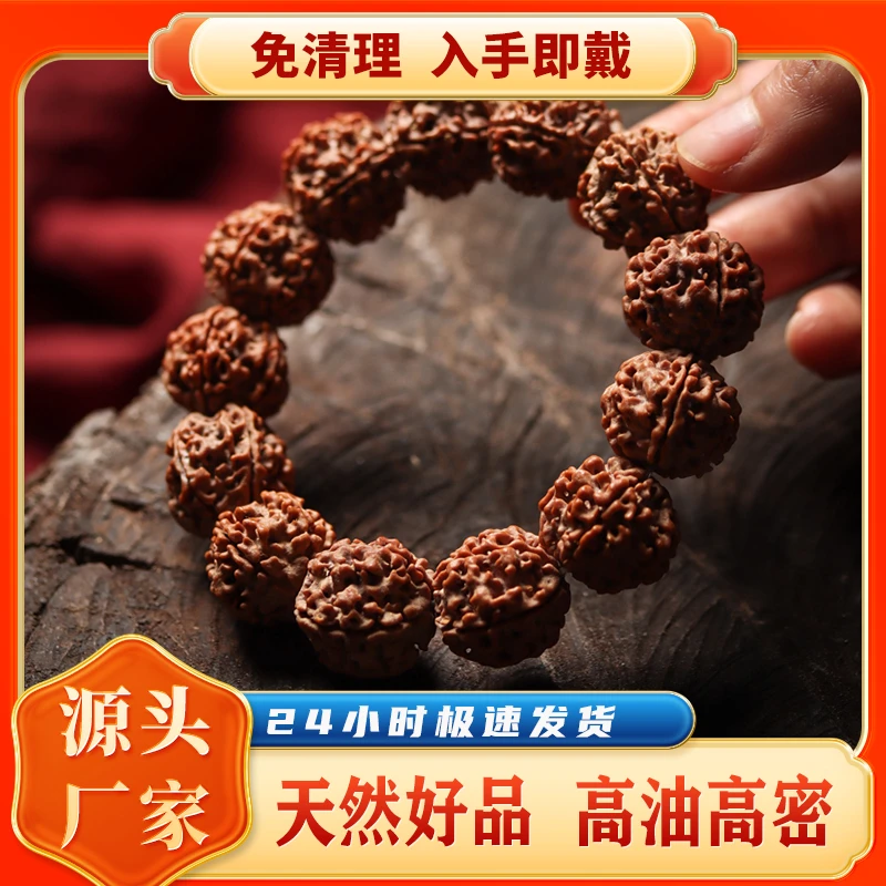 五瓣原生态天然梅花双龙尼泊尔大金刚手串粗筋爆肉收藏级文玩