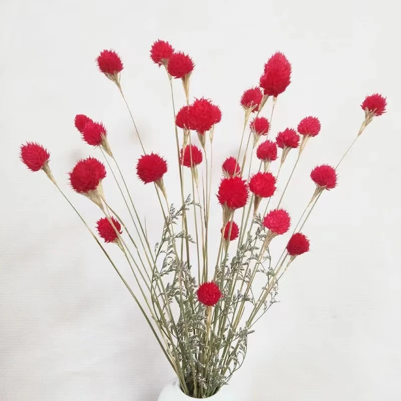 《花园时光推荐》草莓果千日红新款干花花束天客厅装饰摆件真花制作