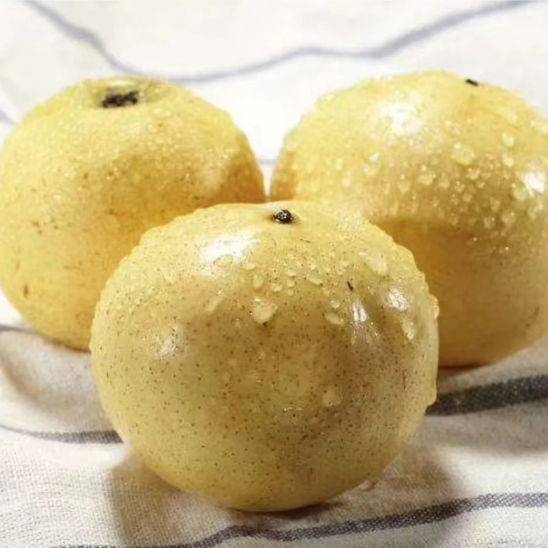 【泸定果品】脆甜京白梨