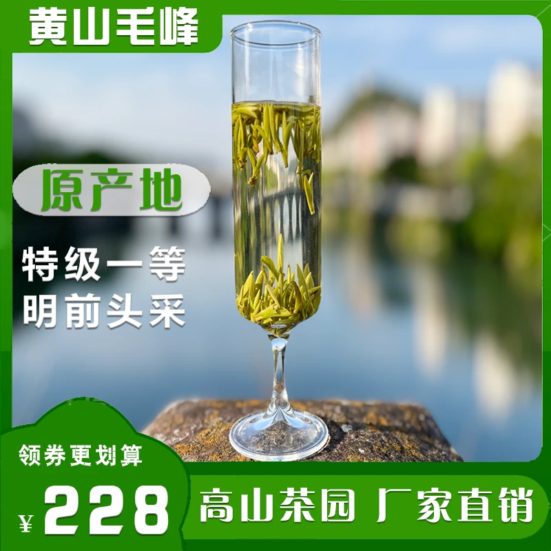 2025黄山毛峰特一级小米芽明前头采新茶条形绿茶高鲜嫩甜兰花香足