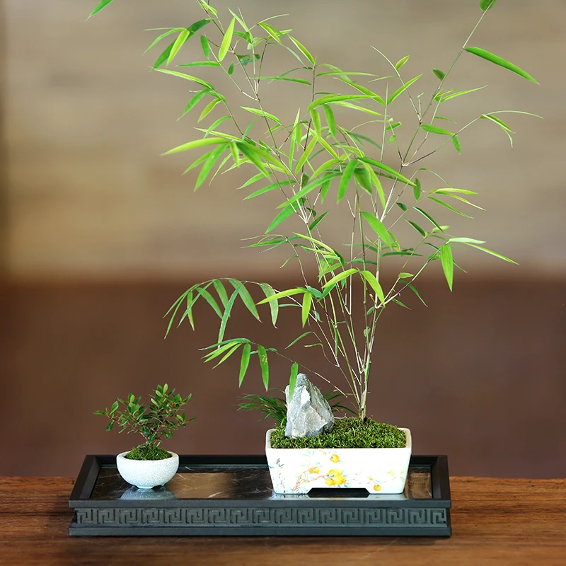 铝合金盆景博古架轻奢大型新中式简约玄关古典花架