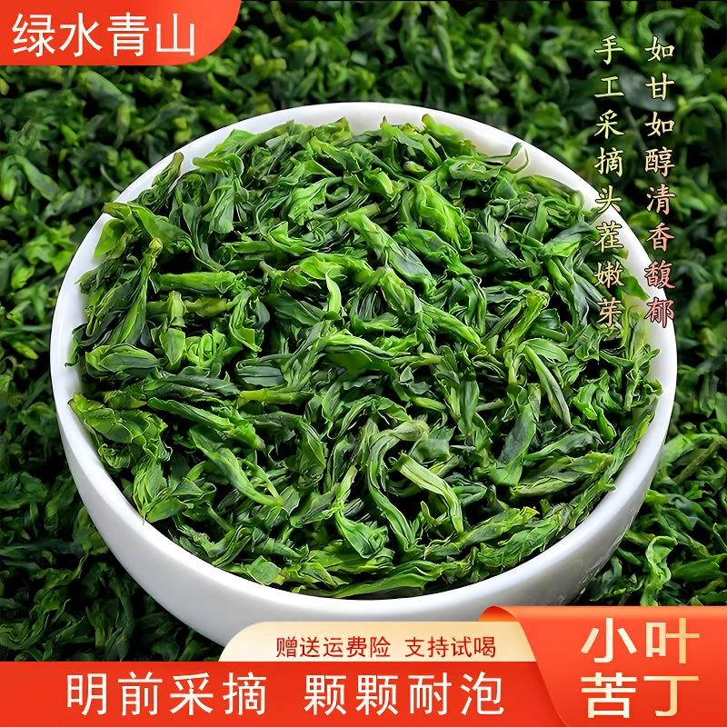 小叶苦丁茶嫩芽特级绿水青山茶叶清凉翠绿鲜爽回甘手工采摘养生茶