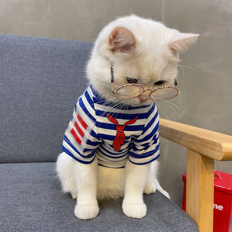 猫咪衣服春秋季新款幼犬蓝猫泰迪比熊贵宾狗狗幼犬条纹T恤薄款潮