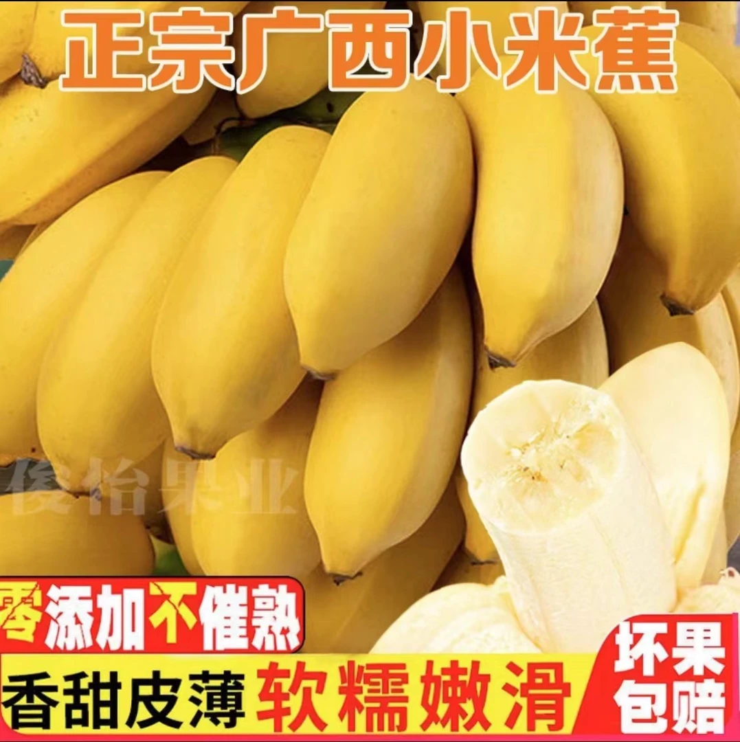 【三木果农】零添加不打催熟饱满广西小米蕉产地直发新鲜水甜果绿色