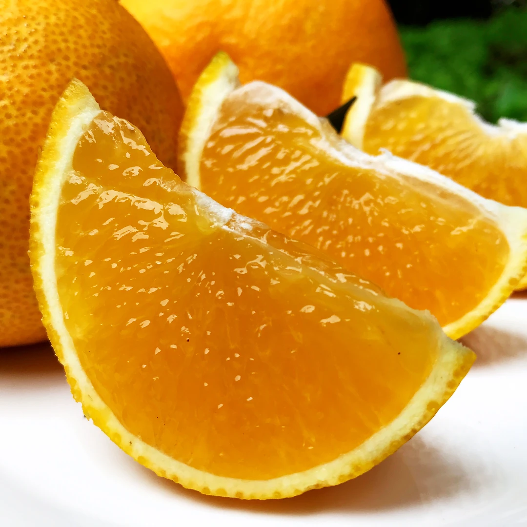 JU ZHI CHU/桔之初四川眉山爱媛38号果冻橙新鲜采摘手剥橙子包邮