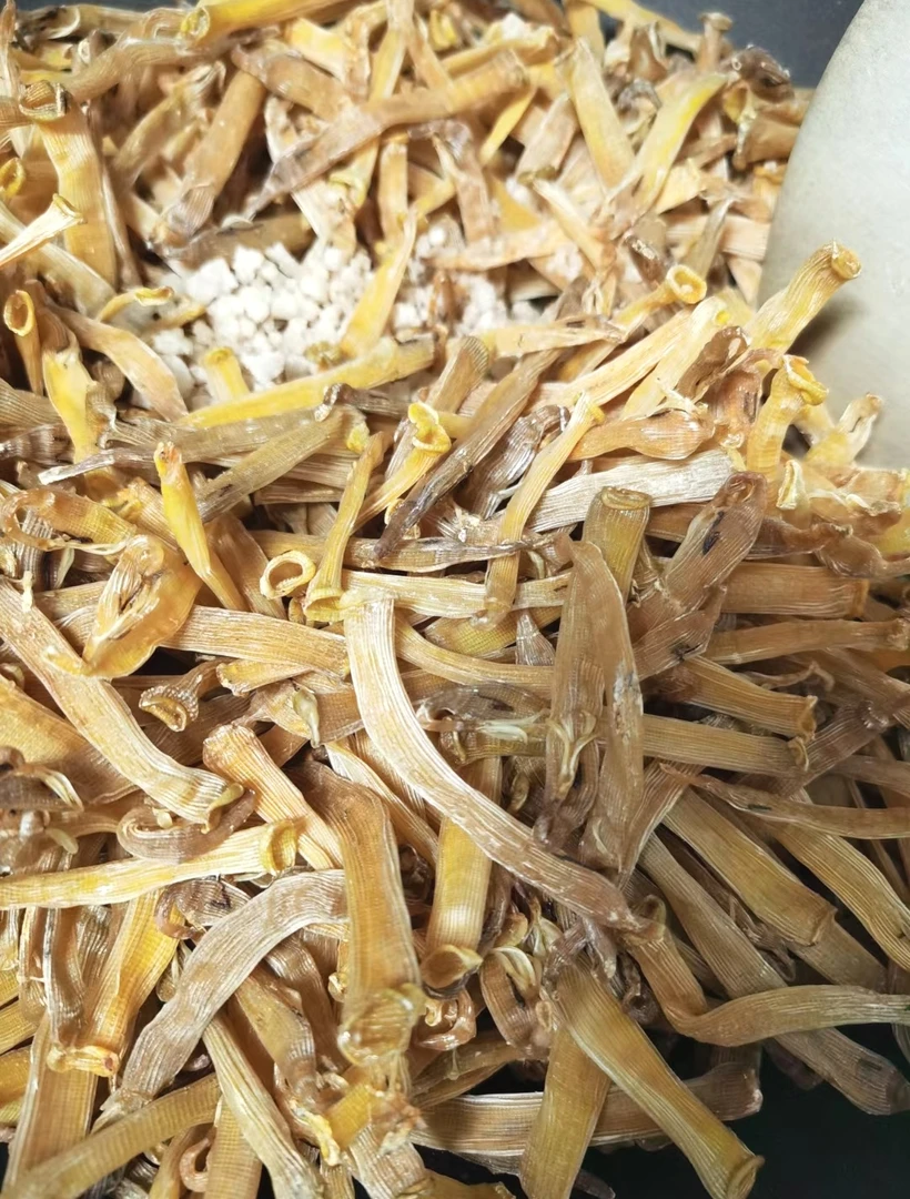 【漳浦姑凉家】炒盐沙虫干 脆脆的炒熟沙虫干品
