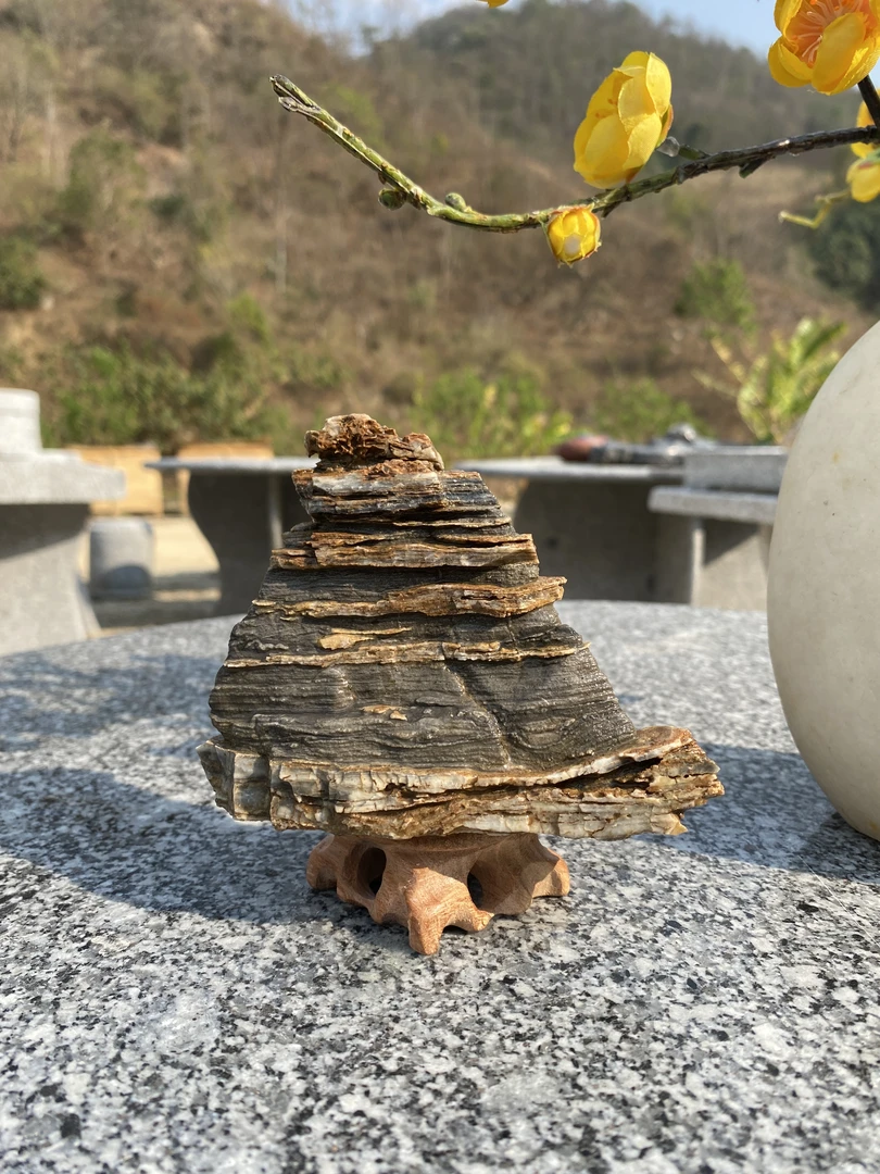 天然假山鹅卵石奇石粉丝福利7