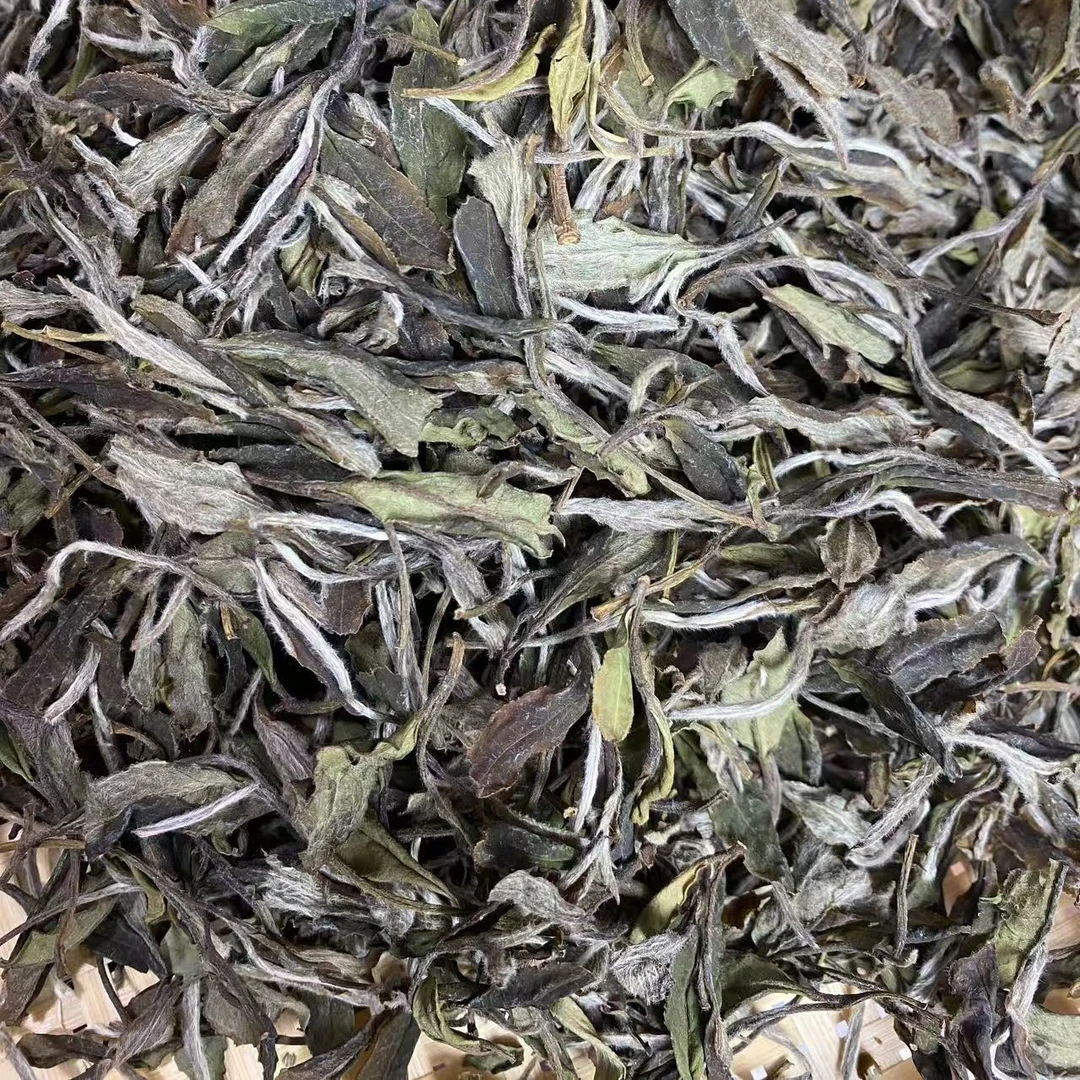 <碳焙香>2021牡丹大师制作磻溪高山茶