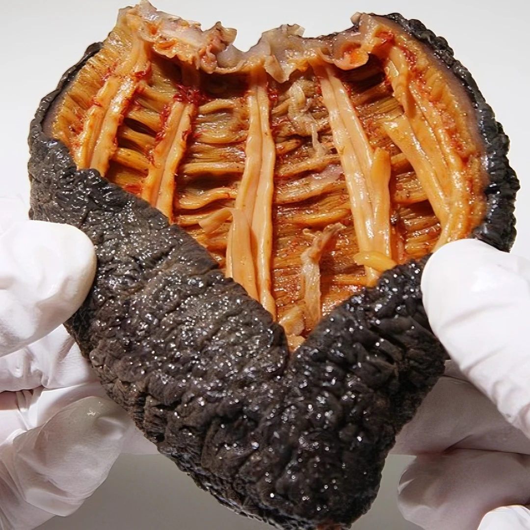 【冰岛进口海参】【已开价】北极红参（4-6头）500克每袋  到手2袋即食