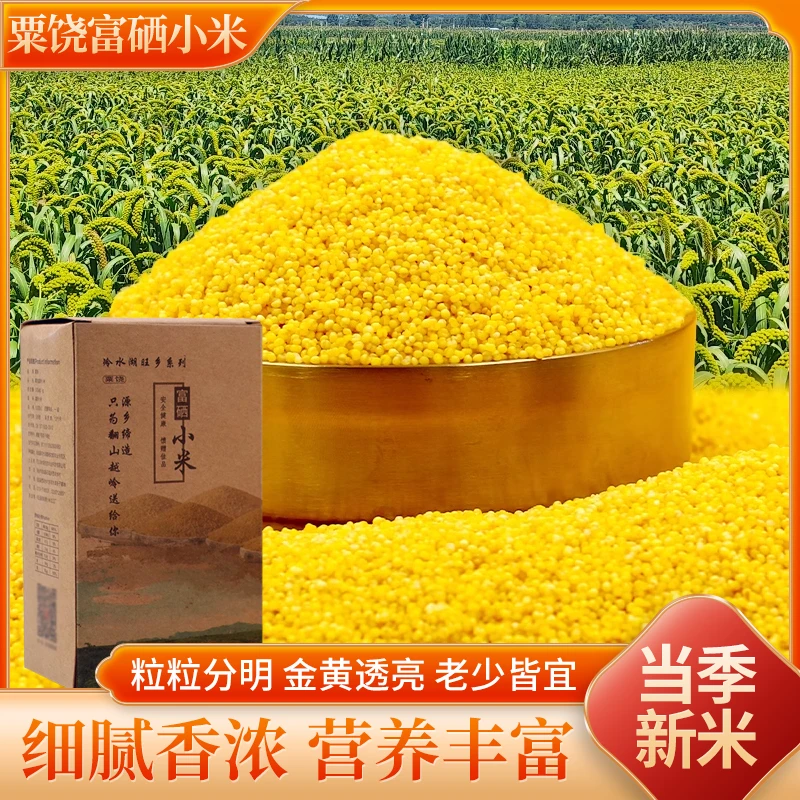 粟饶【高富硒】小米富硒小米黄小米礼盒装实用真空包装送礼500g*2