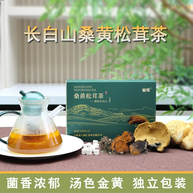 桑黄松茸茶 长白山桑树切片滋补营养泡水煮水茶饮