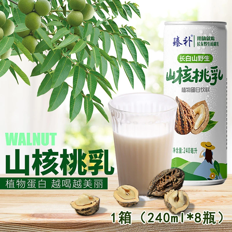 山核桃乳 长白山天然营养植物蛋白饮料240ml/罐