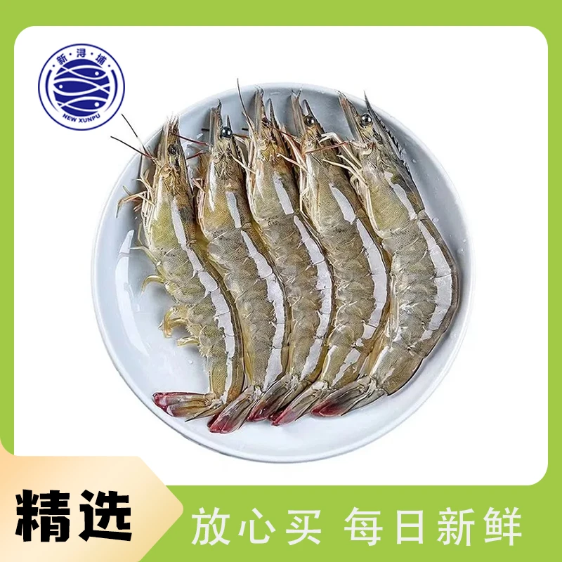 【活虾】白虾/明虾约2斤±100g【打氧配送】