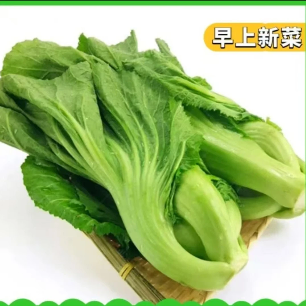 钙菜/芥菜包 500g±50g