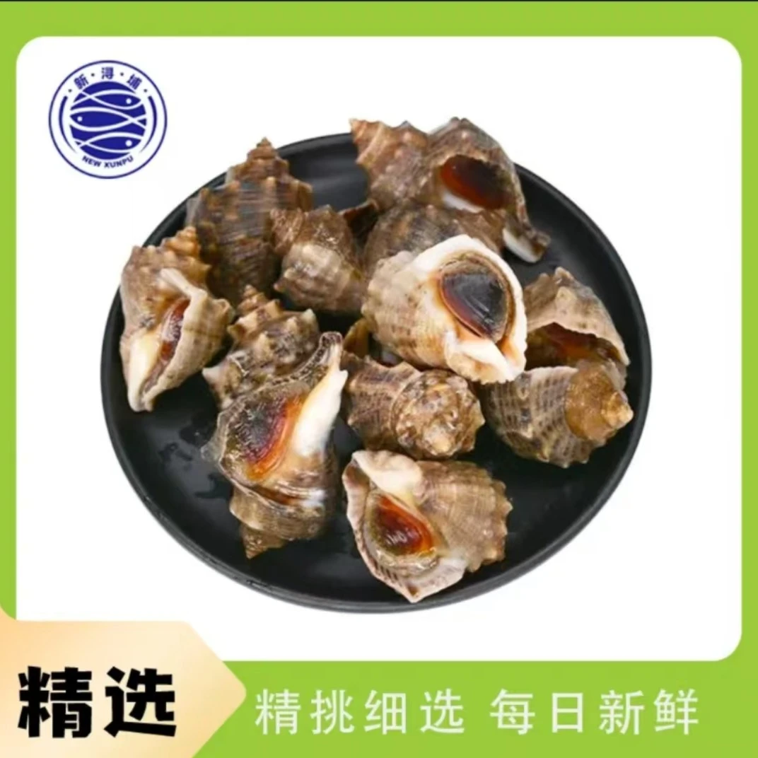 【活贝】小角螺 4-5个 约500g