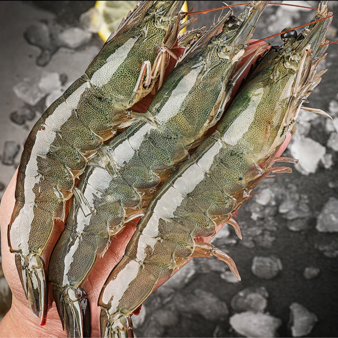 【顺丰包邮】4斤 新鲜活虾速冻海虾共55-65只 500g/包*4 13-16cm/只