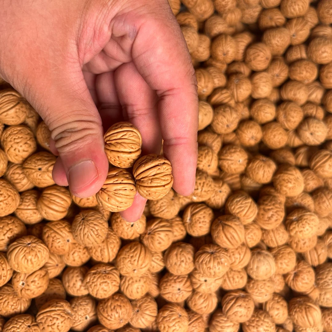 各种文玩桃核儿散籽