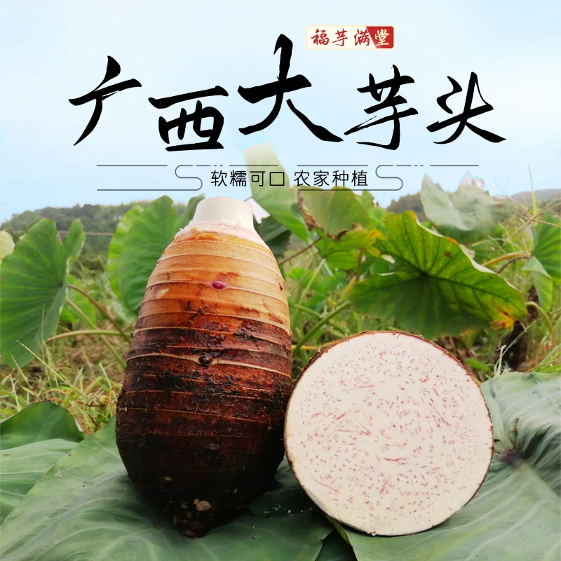 （2.9一个）毛芋头-1个装-广西种植槟榔芋头香甜粉糯新鲜毛芋头