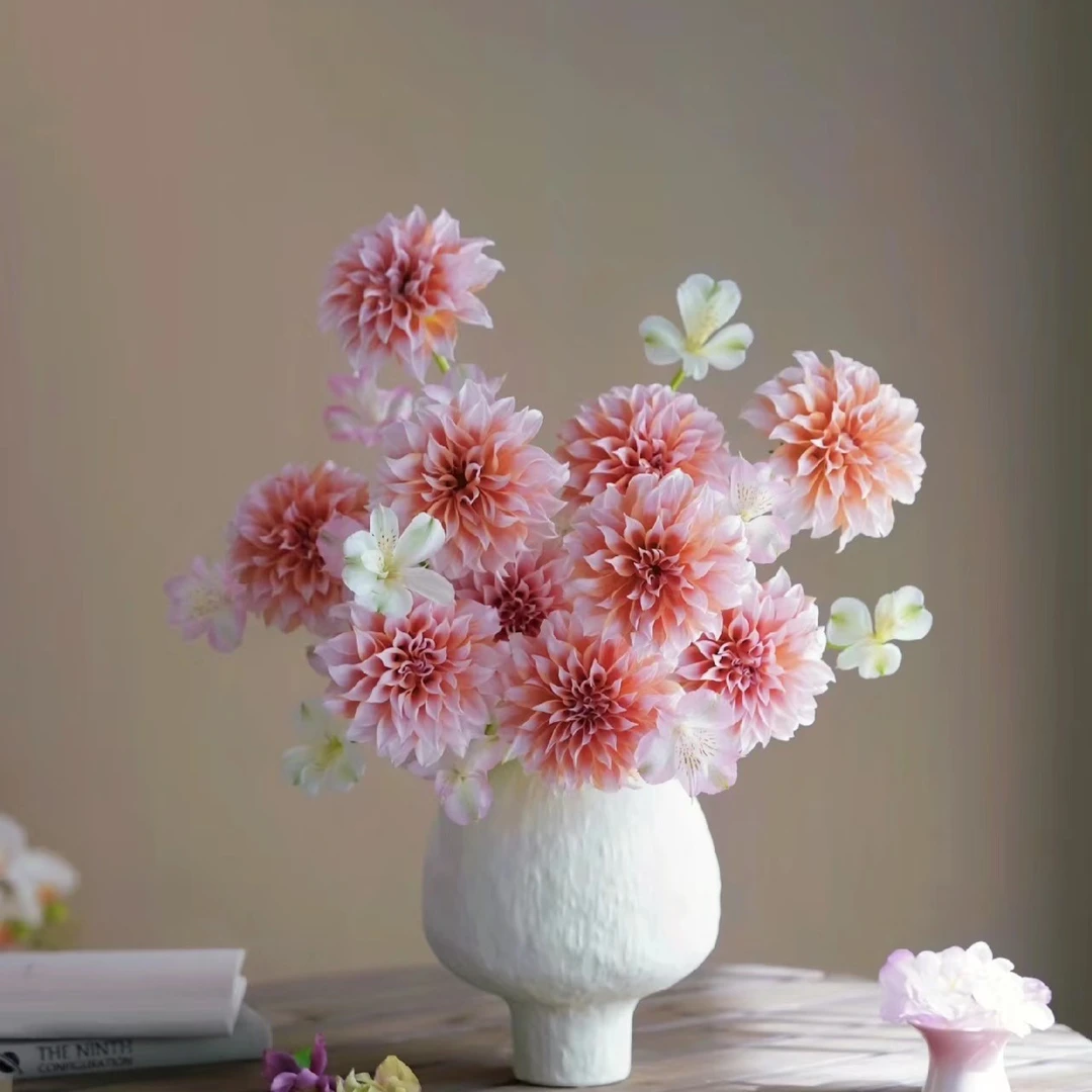 大丽花奶油桃子5支（家庭瓶插花）