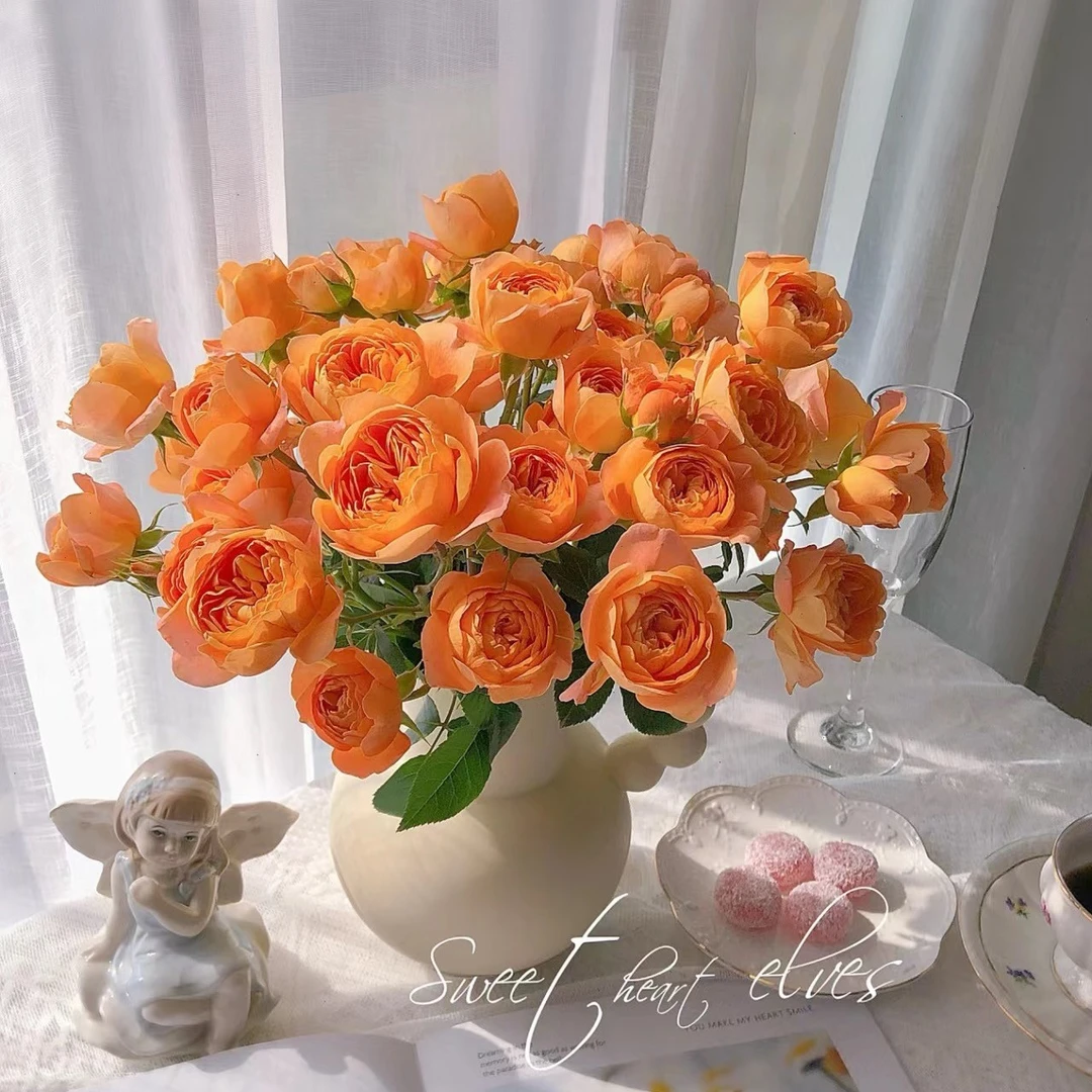 果汁阳台多头玫瑰10支（家庭瓶插花）