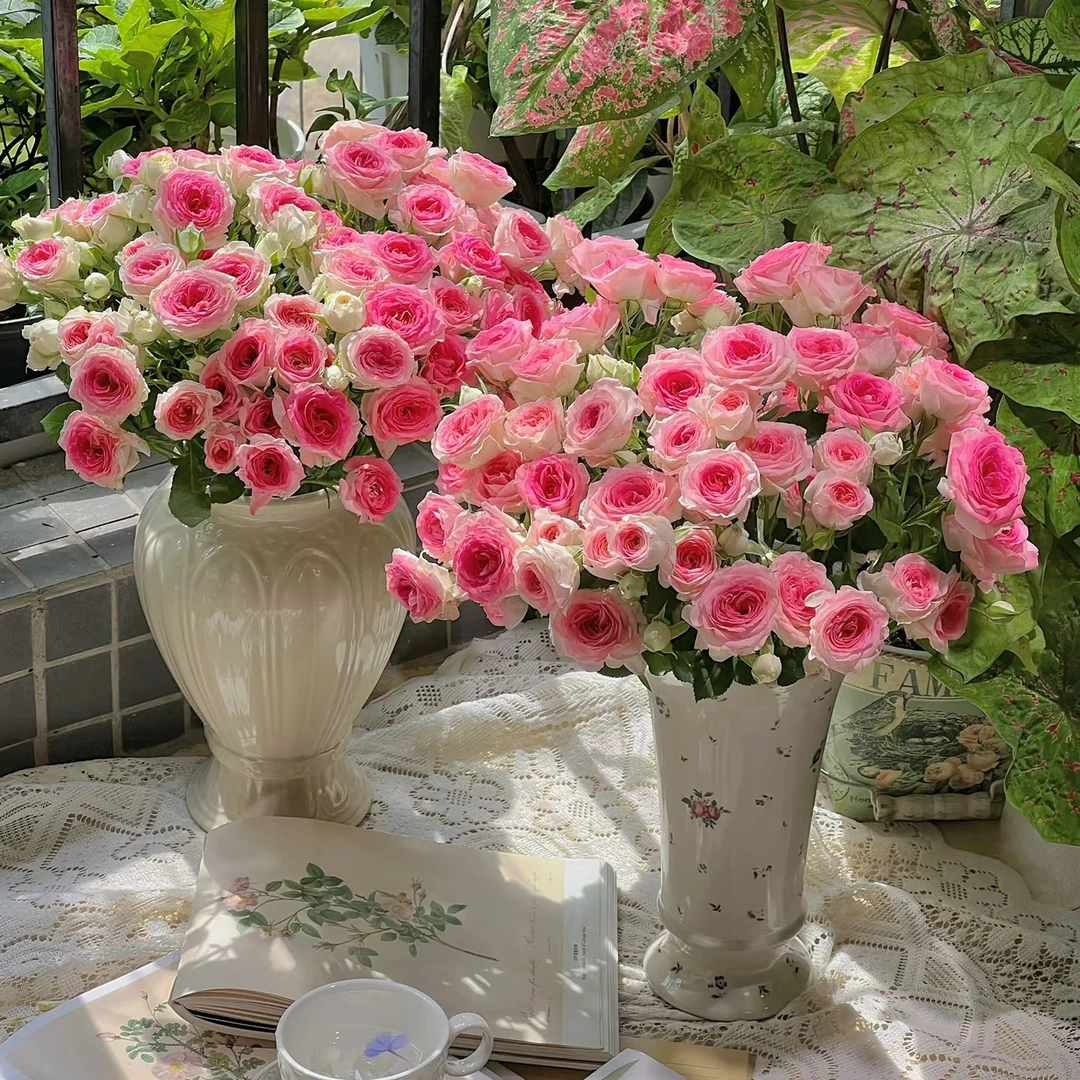 午夜魔法多头玫瑰10支（家庭瓶插花）