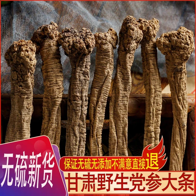 甘肃非种植老党参，无硫熏，年份足