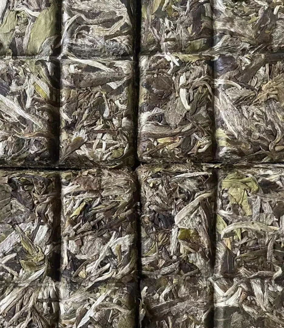 2022高等级白牡丹小方块定制30克