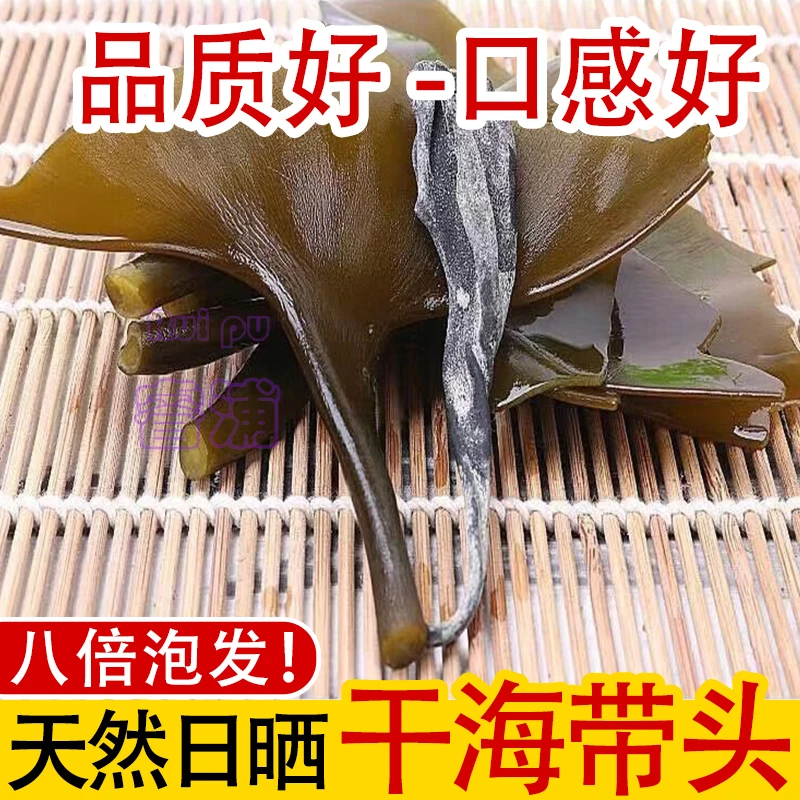 正宗海带头霞浦特产干货精选新鲜新货特级厚海带头干货优质厚实
