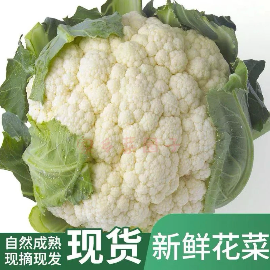 花菜新鲜菜花花椰菜现摘现发紧花