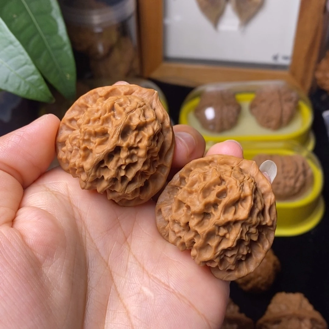 文玩核桃把件6****939玄月