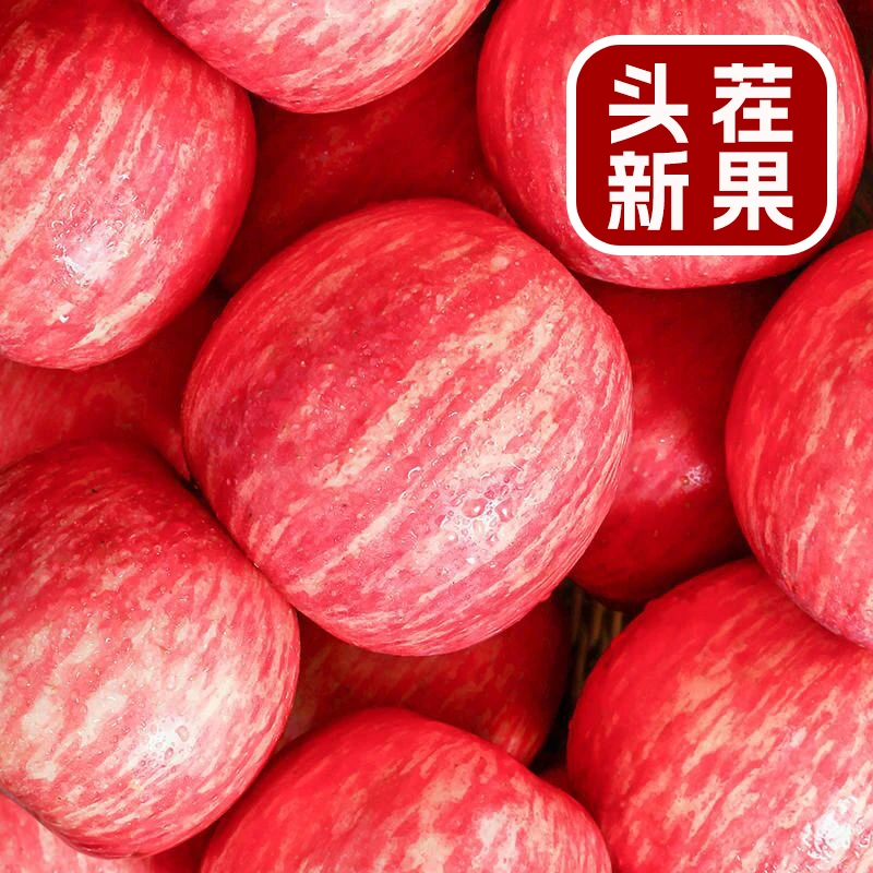 山东烟台栖霞红富士苹果冰糖心新鲜水果批发应季水果2/5/10斤现摘
