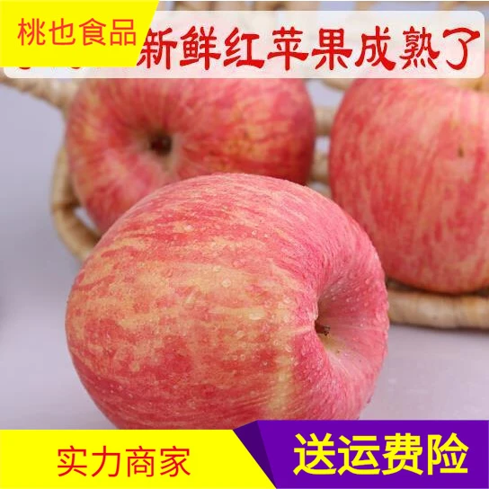 2023年新鲜灵宝寺河山红富士苹果农家高山现摘苹果脆甜现摘现发