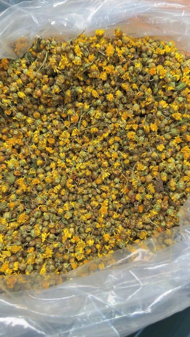 粤北深山本地 野生菊花 新鲜干货清香花香 深山好货