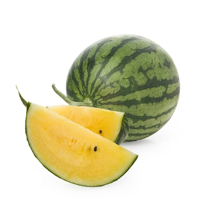 静上鲜来礼盒装农产品10-12斤±1斤小兰西瓜 江宁横溪西瓜自产自销