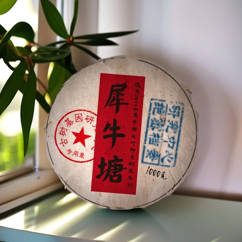 犀牛塘大叶种老树1000g 普洱生茶  拍五发六