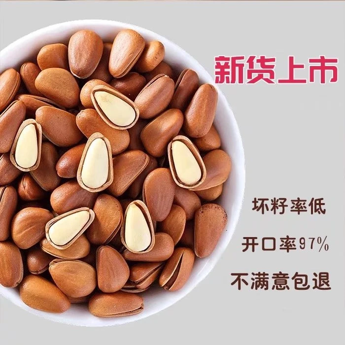 东北红松松子大颗粒手剥开口新鲜坚果