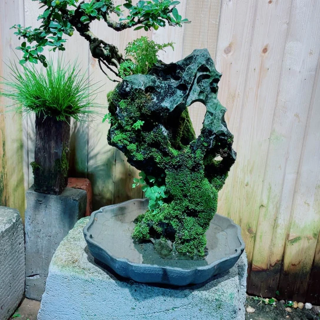 红陶20CM（含）-50CM（不含）十****明