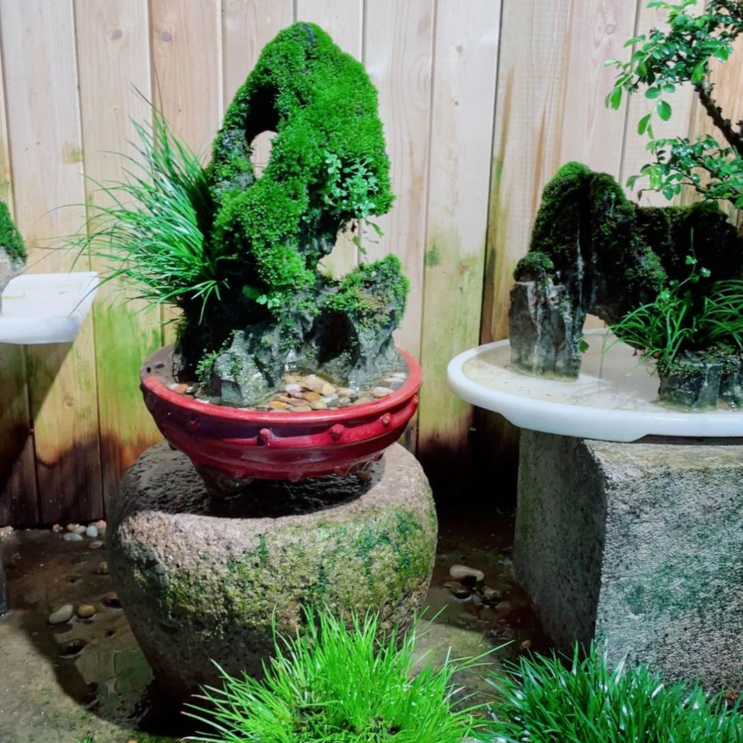 红陶20CM（含）-50CM（不含）皓***^