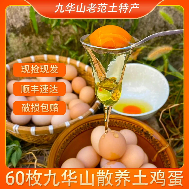 甄选60枚农家散养初生蛋高山五谷喂养新鲜土鸡蛋高品质磷脂营养蛋