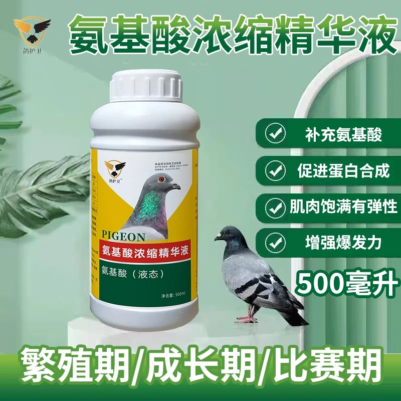鸽护卫氨基酸浓缩精华液500毫升/瓶促进蛋白转化吸收肌肉爆满