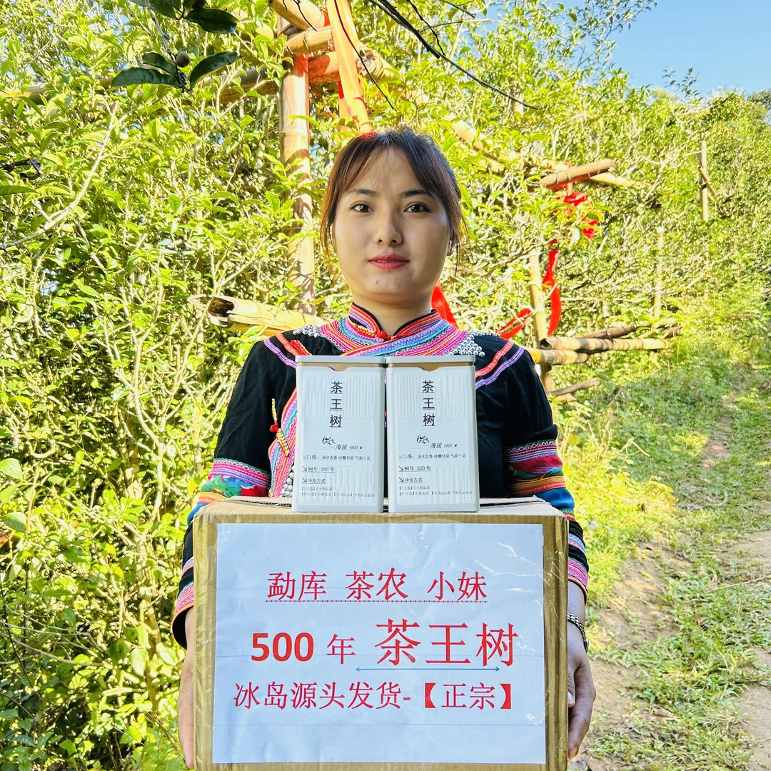 月叶花鸿24年(500年茶王树）春茶  普洱茶生茶散茶